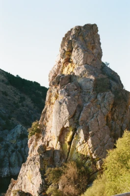 SALAS